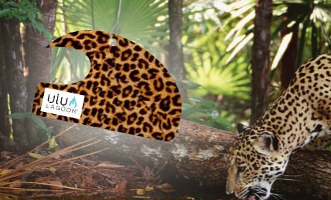 Wild Mini Wave Air Freshener