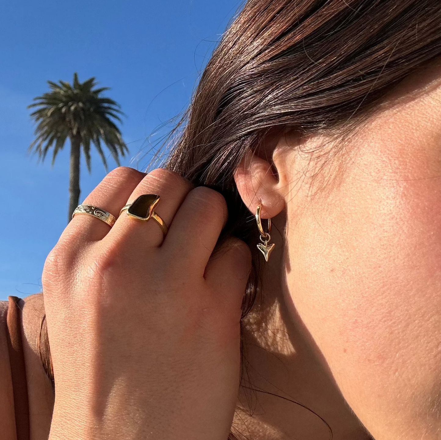 Shark Tooth Hoops