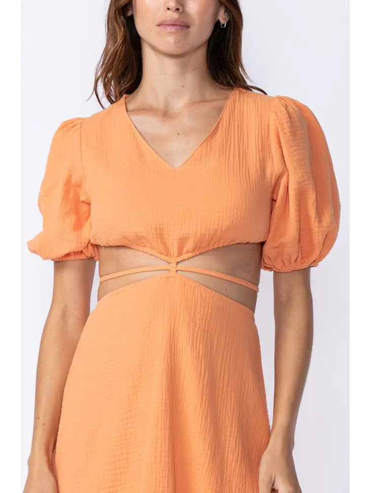 Harlow Mini Dress