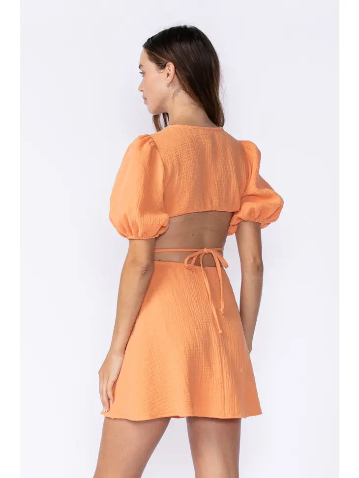 Harlow Mini Dress