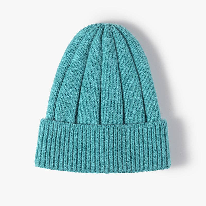 Chunky Ribbed Beanie Blue